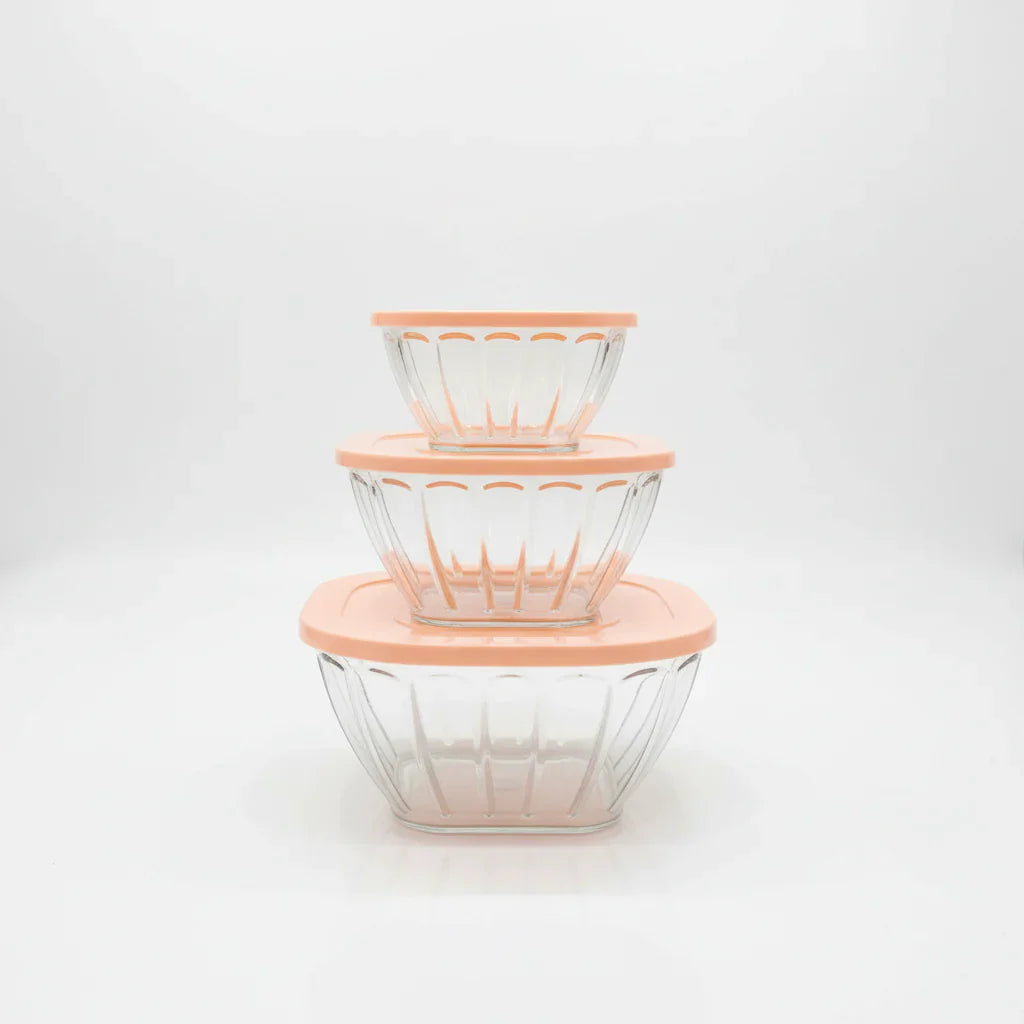 Bowls set with plastic lids - 3 Pcs